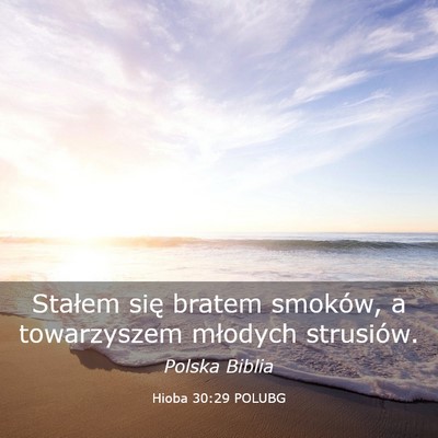 Picture 03 - Hioba 30:29 POLUBG - Stałem się bratem smoków, a towarzyszem - Bible Verse Picture