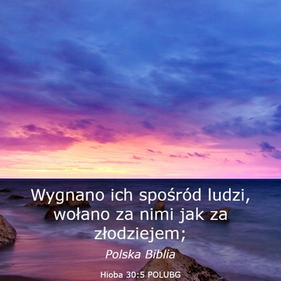 Picture 03 - Hioba 30:5 POLUBG - Wygnano ich spośród ludzi, wołano za nimi jak - Bible Verse Picture