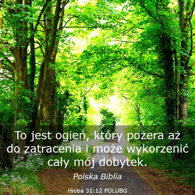 Picture 03 - Hioba 31:12 POLUBG - To jest ogień, który pożera aż do zatracenia - Bible Verse Picture