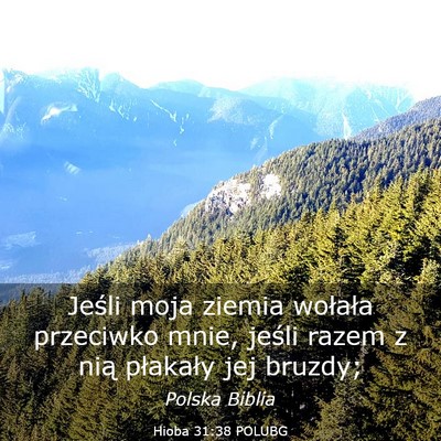 Picture 03 - Hioba 31:38 POLUBG - Jeśli moja ziemia wołała przeciwko mnie, - Bible Verse Picture