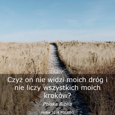 Picture 03 - Hioba 31:4 POLUBG - Czyż on nie widzi moich dróg i nie liczy - Bible Verse Picture