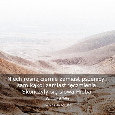 Picture 03 - Hioba 31:40 POLUBG - Niech rosną ciernie zamiast pszenicy i sam - Bible Verse Picture