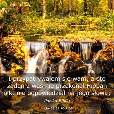 Picture 03 - Hioba 32:12 POLUBG - I przypatrywałem się wam, a oto żaden z was - Bible Verse Picture