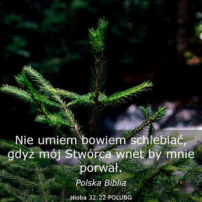 Picture 03 - Hioba 32:22 POLUBG - Nie umiem bowiem schlebiać, gdyż mój Stwórca - Bible Verse Picture