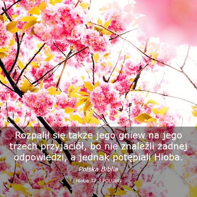 Picture 03 - Hioba 32:3 POLUBG - Rozpalił się także jego gniew na jego trzech - Bible Verse Picture