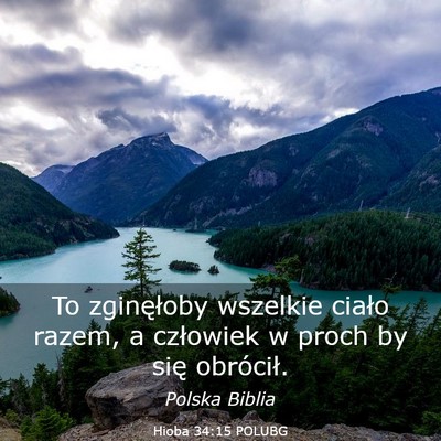 Picture 03 - Hioba 34:15 POLUBG - To zginęłoby wszelkie ciało razem, a człowiek - Bible Verse Picture
