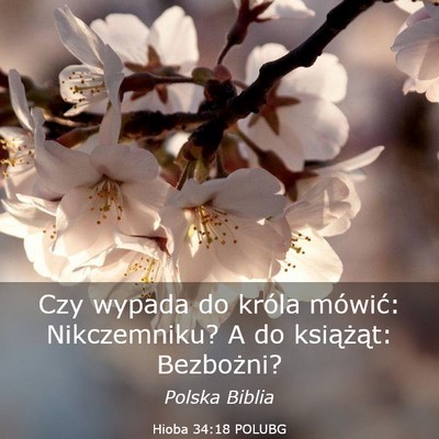 Picture 03 - Hioba 34:18 POLUBG - Czy wypada do króla mówić: Nikczemniku? A do - Bible Verse Picture