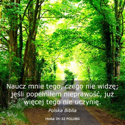 Picture 03 - Hioba 34:32 POLUBG - Naucz mnie tego, czego nie widzę; jeśli - Bible Verse Picture