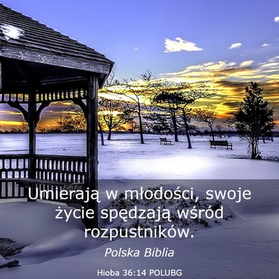 Picture 03 - Hioba 36:14 POLUBG - Umierają w młodości, swoje życie spędzają - Bible Verse Picture