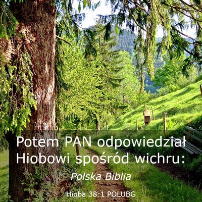 Picture 03 - Hioba 38:1 POLUBG - Potem PAN odpowiedział Hiobowi spośród - Bible Verse Picture
