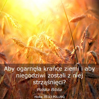 Picture 03 - Hioba 38:13 POLUBG - Aby ogarnęła krańce ziemi i aby niegodziwi - Bible Verse Picture