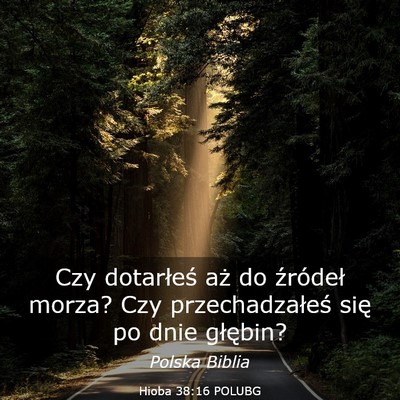 Picture 03 - Hioba 38:16 POLUBG - Czy dotarłeś aż do źródeł morza? Czy - Bible Verse Picture