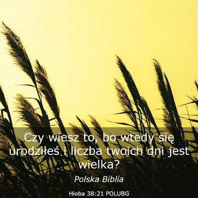 Picture 03 - Hioba 38:21 POLUBG - Czy wiesz to, bo wtedy się urodziłeś i liczba - Bible Verse Picture