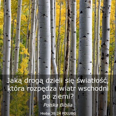 Picture 03 - Hioba 38:24 POLUBG - Jaką drogą dzieli się światłość, która - Bible Verse Picture