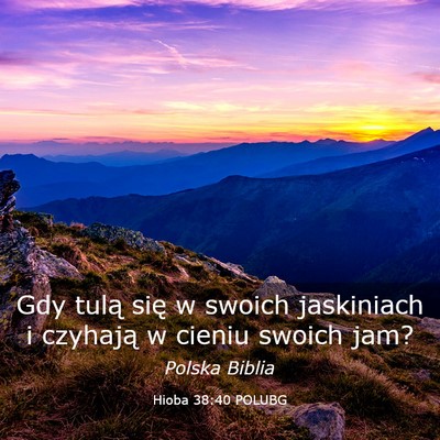 Picture 03 - Hioba 38:40 POLUBG - Gdy tulą się w swoich jaskiniach i czyhają w - Bible Verse Picture