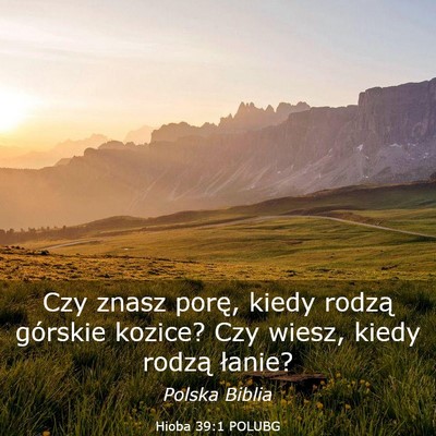 Picture 03 - Hioba 39:1 POLUBG - Czy znasz porę, kiedy rodzą górskie kozice? - Bible Verse Picture