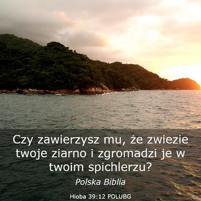 Picture 03 - Hioba 39:12 POLUBG - Czy zawierzysz mu, że zwiezie twoje ziarno i - Bible Verse Picture