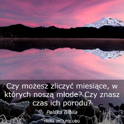 Picture 03 - Hioba 39:2 POLUBG - Czy możesz zliczyć miesiące, w których noszą - Bible Verse Picture
