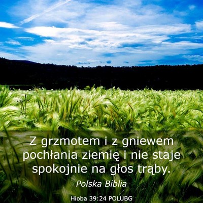 Picture 03 - Hioba 39:24 POLUBG - Z grzmotem i z gniewem pochłania ziemię i nie - Bible Verse Picture