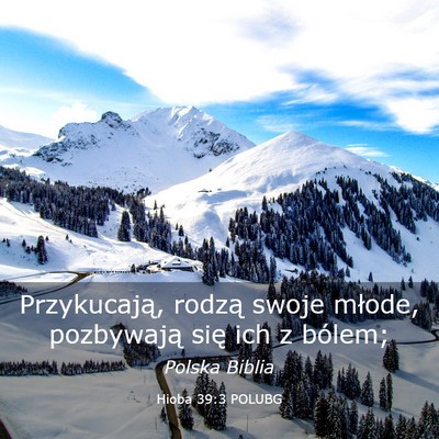 Picture 03 - Hioba 39:3 POLUBG - Przykucają, rodzą swoje młode, pozbywają się - Bible Verse Picture