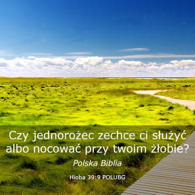 Picture 03 - Hioba 39:9 POLUBG - Czy jednorożec zechce ci służyć albo nocować - Bible Verse Picture