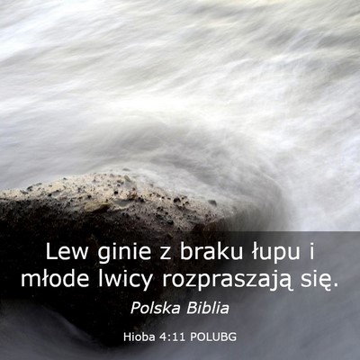 Picture 03 - Hioba 4:11 POLUBG - Lew ginie z braku łupu i młode lwicy - Bible Verse Picture