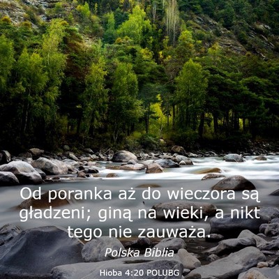 Picture 03 - Hioba 4:20 POLUBG - Od poranka aż do wieczora są gładzeni; giną - Bible Verse Picture