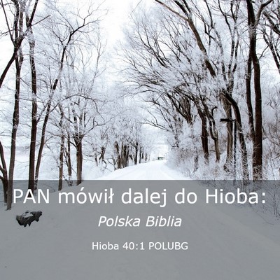 Picture 03 - Hioba 40:1 POLUBG - PAN mówił dalej do - Bible Verse Picture
