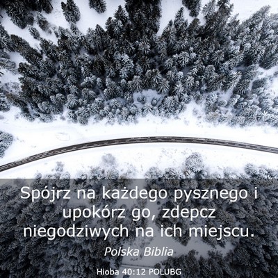 Picture 03 - Hioba 40:12 POLUBG - Spójrz na każdego pysznego i upokórz go, - Bible Verse Picture