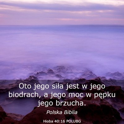 Picture 03 - Hioba 40:16 POLUBG - Oto jego siła jest w jego biodrach, a jego moc w - Bible Verse Picture
