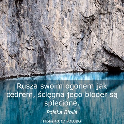 Picture 03 - Hioba 40:17 POLUBG - Rusza swoim ogonem jak cedrem, ścięgna jego - Bible Verse Picture