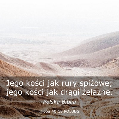 Picture 03 - Hioba 40:18 POLUBG - Jego kości jak rury spiżowe; jego kości jak - Bible Verse Picture