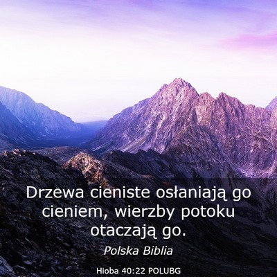 Picture 03 - Hioba 40:22 POLUBG - Drzewa cieniste osłaniają go cieniem, wierzby - Bible Verse Picture