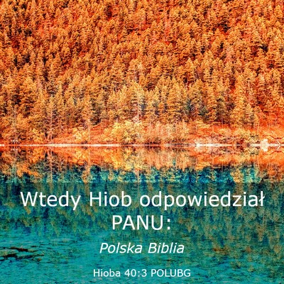 Picture 03 - Hioba 40:3 POLUBG - Wtedy Hiob odpowiedział - Bible Verse Picture