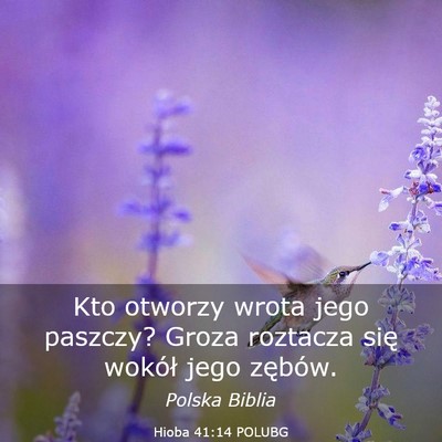 Picture 03 - Hioba 41:14 POLUBG - Kto otworzy wrota jego paszczy? Groza roztacza - Bible Verse Picture