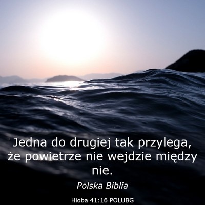 Picture 03 - Hioba 41:16 POLUBG - Jedna do drugiej tak przylega, że powietrze nie - Bible Verse Picture