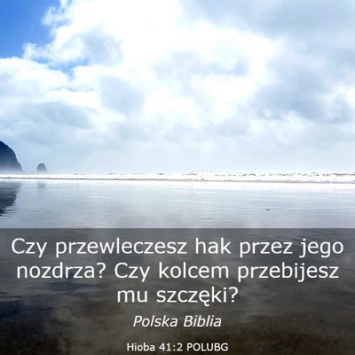 Picture 03 - Hioba 41:2 POLUBG - Czy przewleczesz hak przez jego nozdrza? Czy - Bible Verse Picture