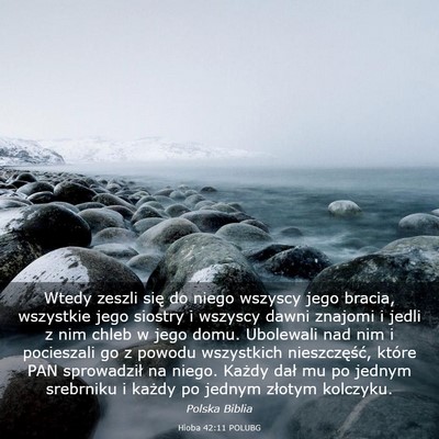 Picture 03 - Hioba 42:11 POLUBG - Wtedy zeszli się do niego wszyscy jego bracia, - Bible Verse Picture