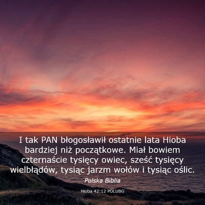Picture 03 - Hioba 42:12 POLUBG - I tak PAN błogosławił ostatnie lata Hioba - Bible Verse Picture