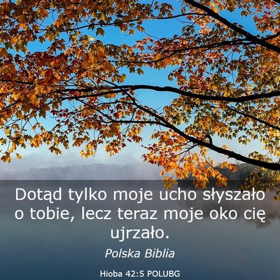 Picture 03 - Hioba 42:5 POLUBG - Dotąd tylko moje ucho słyszało o tobie, lecz - Bible Verse Picture