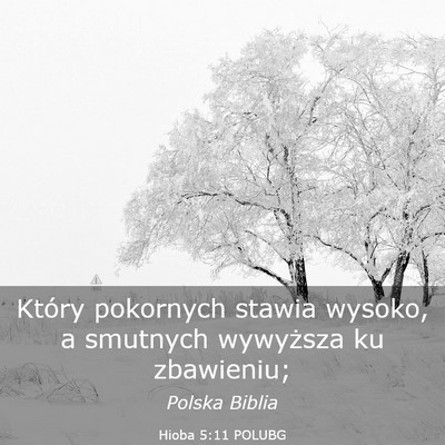Picture 03 - Hioba 5:11 POLUBG - Który pokornych stawia wysoko, a smutnych - Bible Verse Picture