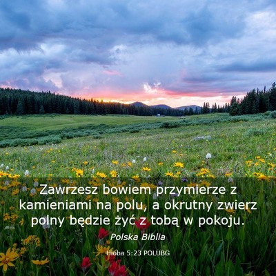 Picture 03 - Hioba 5:23 POLUBG - Zawrzesz bowiem przymierze z kamieniami na polu, - Bible Verse Picture