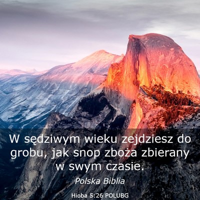 Picture 03 - Hioba 5:26 POLUBG - W sędziwym wieku zejdziesz do grobu, jak snop - Bible Verse Picture