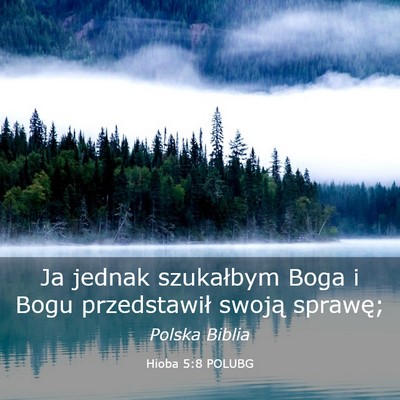 Picture 03 - Hioba 5:8 POLUBG - Ja jednak szukałbym Boga i Bogu przedstawił - Bible Verse Picture