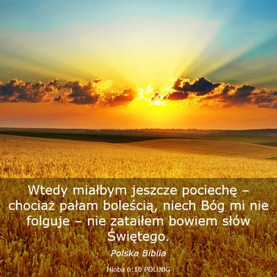 Picture 03 - Hioba 6:10 POLUBG - Wtedy miałbym jeszcze pociechę – chociaż - Bible Verse Picture