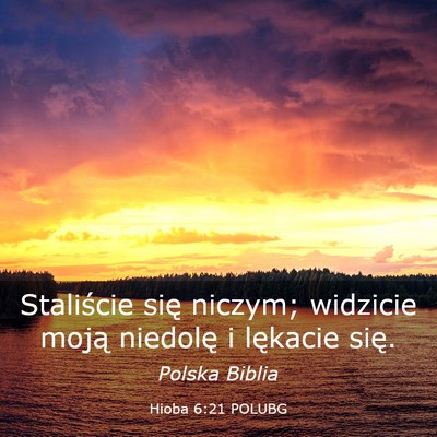 Picture 03 - Hioba 6:21 POLUBG - Staliście się niczym; widzicie moją niedolę i - Bible Verse Picture