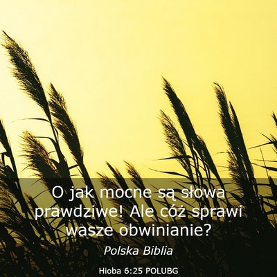 Picture 03 - Hioba 6:25 POLUBG - O jak mocne są słowa prawdziwe! Ale cóż - Bible Verse Picture
