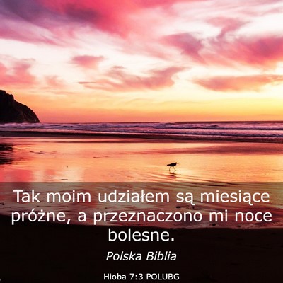 Picture 03 - Hioba 7:3 POLUBG - Tak moim udziałem są miesiące próżne, a - Bible Verse Picture