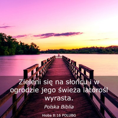 Picture 03 - Hioba 8:16 POLUBG - Zieleni się na słońcu i w ogrodzie jego - Bible Verse Picture