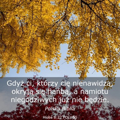 Picture 03 - Hioba 8:22 POLUBG - Gdyż ci, którzy cię nienawidzą, okryją się - Bible Verse Picture